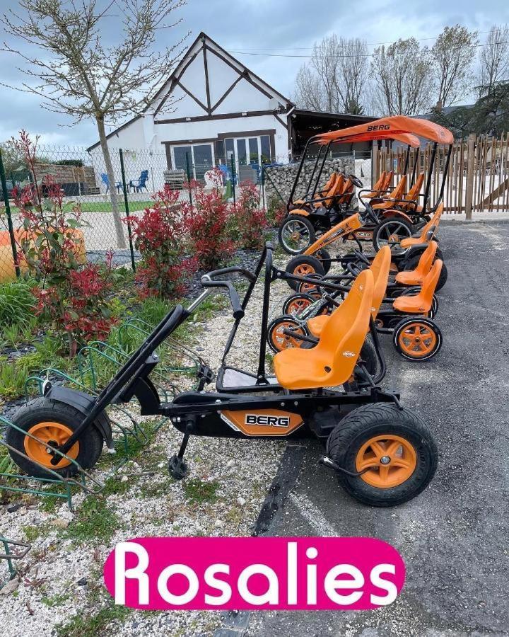 Mobil Home Tout Confort Ideal Pour 4 Personnes Dans Le Domaine De Dugny Camping 4 Etoiles, Proche De Blois, Du Zoo De Beauval Et Des Chateaux De La Loire Onzain Εξωτερικό φωτογραφία